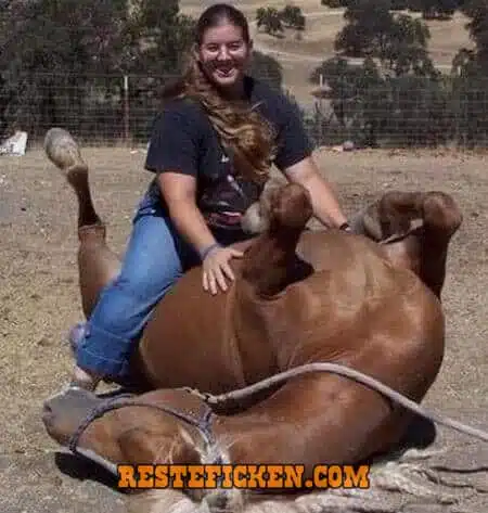 K9 Girl mit Hengst und Hund