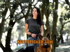 Hundefreund gesucht Frau mit Schäfehund Rüden sucht Hundefreund