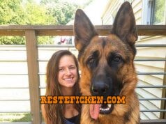 Hundefreund gesucht Frau mit Schäfehund Rüden sucht Hundefreund