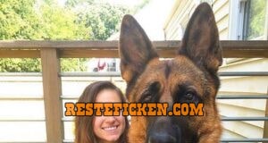 Hundefreund gesucht Frau mit Schäfehund Rüden sucht Hundefreund