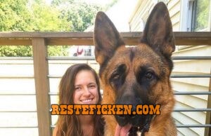 Frau mit Schäfehund Rüden sucht Hundefreund