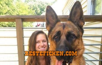 Hundefreund gesucht Frau mit Schäfehund Rüden sucht Hundefreund