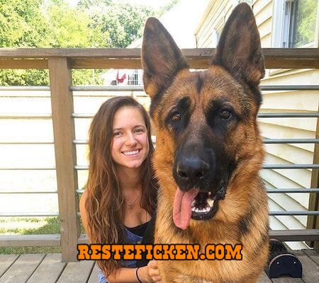 Hundefreund gesucht Frau mit Schäfehund Rüden sucht Hundefreund
